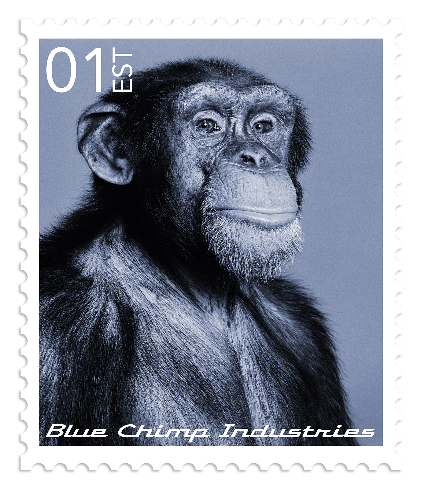 Blue Chimp Stamp